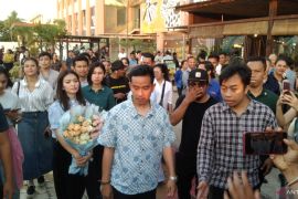 Gibran tindak lanjuti soal kasus pengiriman anjing ke Solo