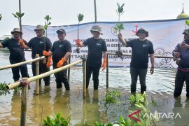 Pemprov tanam bakau di lahan pengganti proyek pelabuhan ikan Bekasi