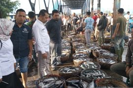 DKP catat tangkapan ikan di PPS Kutaraja Banda Aceh capai 100 ton per hari