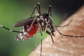 Dinas Kesehatan Bangka gencarkan gerakan 3M Plus