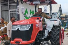 DKP2TPH Tabalong tingkatkan alokasi anggaran perkuat ketahanan pangan