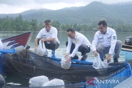 Pemkab Bangka Tengah kembangkan kawasan mina wisata di Danau Pading