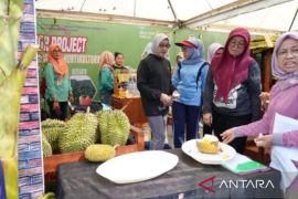 Pemprov Kaltim gencarkan edukasi masyarakat terkait  makanan sehat