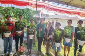 Pj Wali Kota Ambon minta perangkat desa tanam cabai di lahan kantor desa