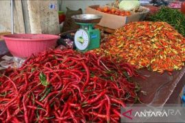 Babel pastikan stok bawang dan cabai cukup