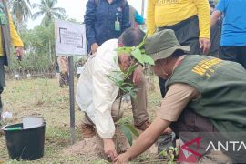 KLHK tanam sebanyak 500 bibit pohon di Parigi upaya kendalikan perubahan iklim