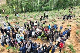 Wamen LHK pimpin penanaman pohon  perkuat ekosistem IKN