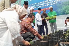 BI NTB kolaborasi dengan pondok pesantren kembangkan cabai organik