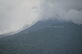 Gunung Lewotobi Laki-laki luncurkan awan panas sejauh 1.500 meter