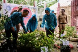 PKK HST perkuat ketahanan pangan lewat menanam di pekarangan rumah
