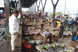 Stabilkan harga ikan, Pemerintah Aceh optimalkan pengelolaan gudang pendingin