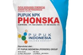 Pemerintah Biak salurkan bantuan 23 ton pupuk ke petani OAP