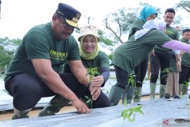 Pj Gubernur gaungkan gerakan "Semarak Babel" tekan inflasi