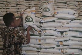 128.436 KK dapat penyaluran bantuan beras pangan dari Bulog Maluku
