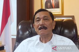 Luhut: Kendaraan listrik bagian penting mitigasi perubahan iklim
