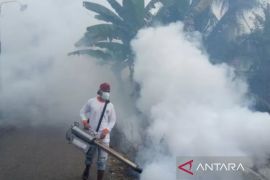 Kalsel kemarin, korban DBD mencapai 82 orang hingga predikat pelayanan publik di kabupaten/kota