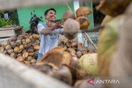 Potensi ekspor sabut kelapa Page 3 Small