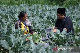 Blusukan ke Lamongan, Gus Nabil cari solusi permasalahan pupuk