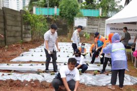 Pemkot Jakpus tanam 10.500 bibit cabai untuk stabilkan harga saat Ramadhan