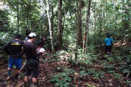 Penjaga paru-paru Bumi di  Muara Wahau