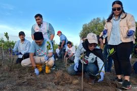 TKN Fanta tanam mangrove hingga bersih pantai di Tangerang