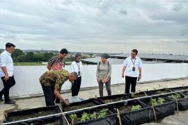 DKP Kota Tangerang siapkan program urban farming di rusunawa