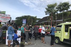 MCC bagikan 1.000 pohon gratis kepada warga Ambon