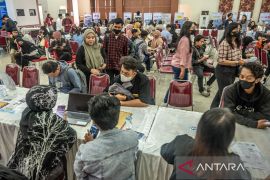 Job Fair diserbu pencari kerja di Palu Page 3 Small