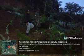 Tanah longsor timbun Jalan Lintas Curup - Kabupaten Lebong
