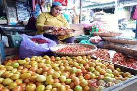 Sebagian harga kebutuhan pokok di Tanah Bumbu relatif turun