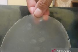 Pemanfaatan Limbah Keju Menjadi Kemasan Fungsional (Edible Film Whey)