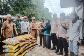 DP2TPH Tabalong catat 1.668 hektare sawah terdampak banjir