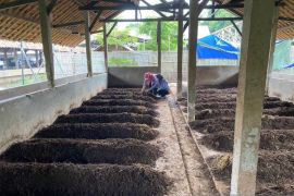 DKP3 Kota Depok tingkatkan ekonomi lewat budi daya satwa harapan