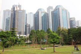 Kualitas udara Jakarta terpantau semakin membaik