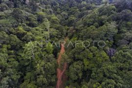 Indonesia pushes carbon economic value to achieve NDC target