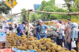 Buah durian banjiri Palembang