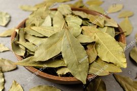 Ragam manfaat daun salam bagi kesehatan tubuh