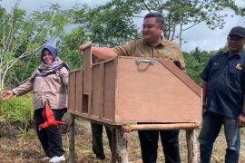 BKSDA melepas liarkan 24 ekor burung nuri maluku