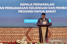 Pemprov Papua Barat dan BPKP kolaborasi perbaiki tata kelola pemerintahan
