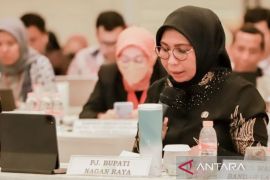 Pj Bupati Nagan Raya presentasi rencana detail RDTR ke Kementerian Agraria