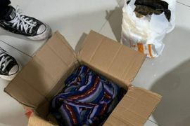 Bea cukai Makassar menggagalkan penyelundupan 2,7 kilogram ganja