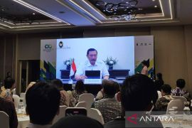 Luhut yakin dampak efisiensi tak seburuk yang dikhawatirkan publik