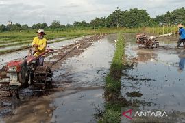 DKPP sebut gerakan tanam antisipasi lahan belum dimanfaatkan pertanian