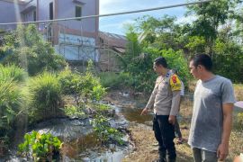 Lahan warga Desa Namun terendam tumpahan minyak Pertamina