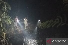 Dishut Maluku padamkan 3.000 meter  persegi lahan terbakar di Ambon