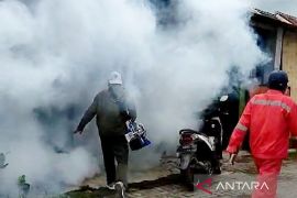 Dinas Kesehatan Situbondo catat 40 kasus DBD pada awal tahun 2024