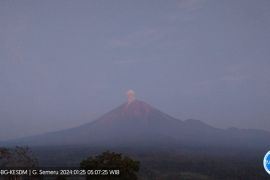 Gunung Semeru erupsi dengan tinggi letusan 900 meter