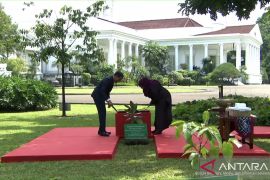 Jokowi ajak  Presiden Tanzania tanam pohon perdamaian di Istana Bogor