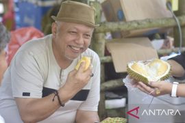 Pemkab Bangka Barat mendorong warga kembangkan usaha buah