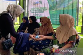 Dinkes: Jumlah stunting 2024 di Tanah Laut terdata 1.536 anak